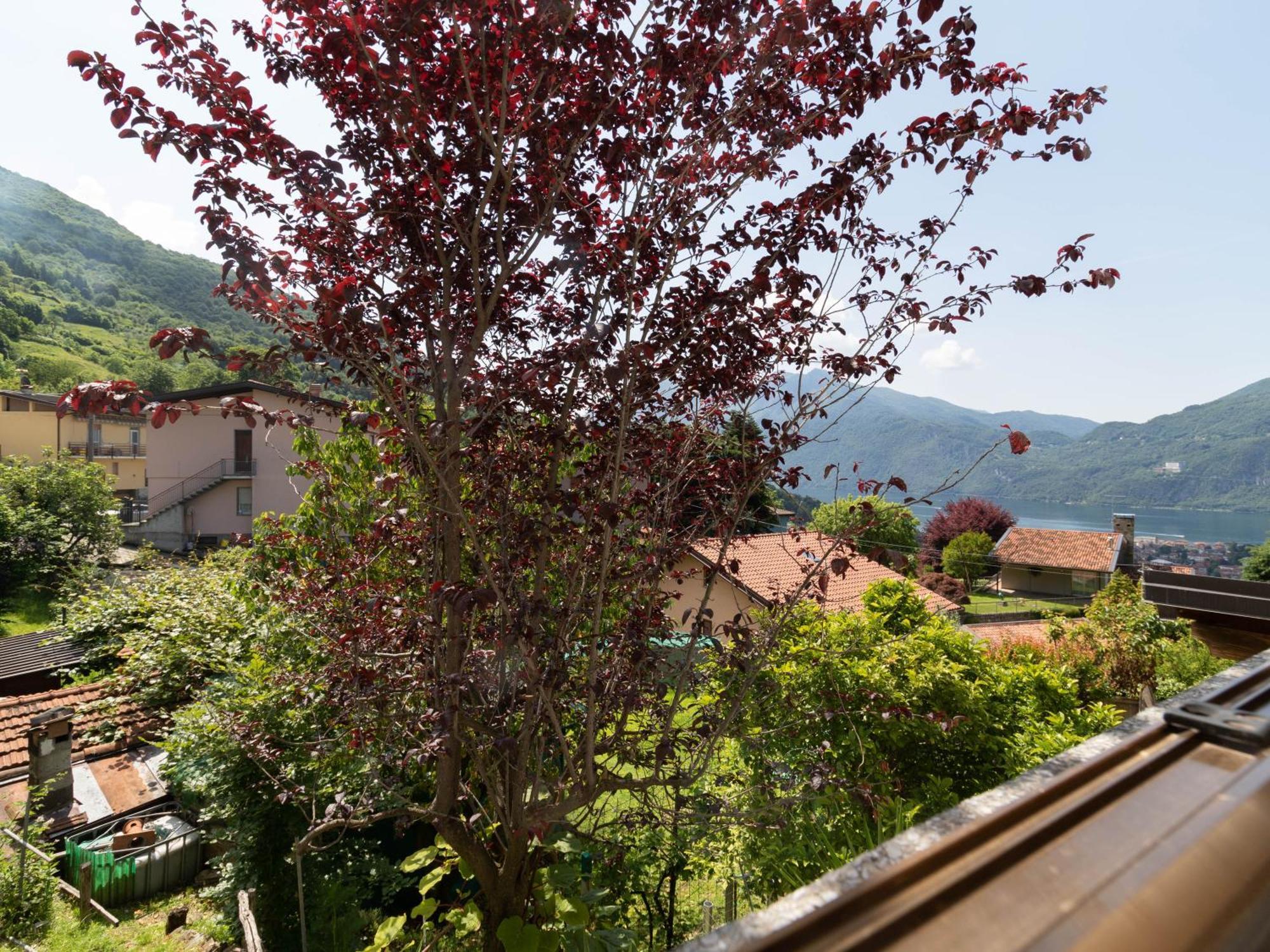 Mamma Ciccia Holiday Home - Mountains & Lake Mandello del Lario Exteriör bild